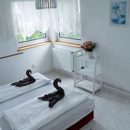 Virginia * 希欧福克