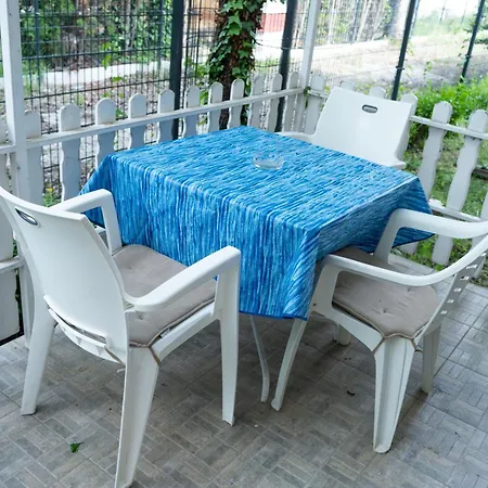 Virginia 希欧福克