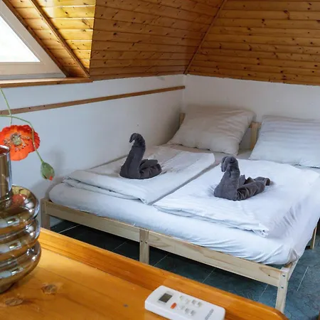 Virginia * 希欧福克